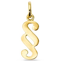 Pendentif Or jaune 9K Paragraphe-521241