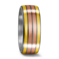 Alliance Titane, Or jaune 18K, Or rouge 18K-529060