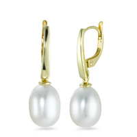 Pendant d'oreilles Or jaune 9K perle d'eau douce-546297