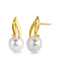 Clous d'oreilles Or jaune 18K perle d'eau douce blanc, 2 Perles, 7.5 mm-565907
