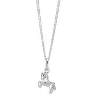 Chaînette avec pendentif Argent Rhodié Cheval 36 cm-570085