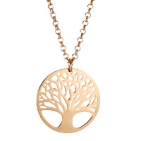 Chaînette avec pendentif Argent-574028