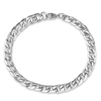 Bracelet Acier inoxydable 21 cm-585443