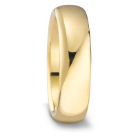 Bague Acier inoxydable jaune PVD-585895