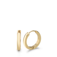 Créoles à charnières Acier inoxydable jaune PVD-586978