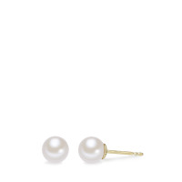 Clous d'oreilles Or jaune 14K perle d'eau douce blanc, 2 Perles, 5.5 mm-588869