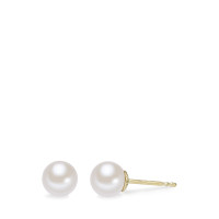 Clous d'oreilles Or jaune 14K perle d'eau douce blanc, 2 Perles, 6 mm-588870