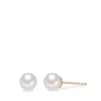 Clous d'oreilles Or jaune 14K perle d'eau douce blanc, 2 Perles, 6.5 mm-588871