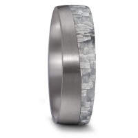 Alliance Tantale 999, Carbone-589113