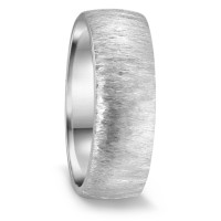 Bague Acier inoxydable-590490
