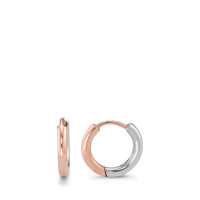 Créoles à charnières Acier inoxydable rosé Bicolore-590501