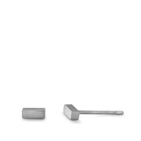 Clous d'oreilles Acier inoxydable-591524