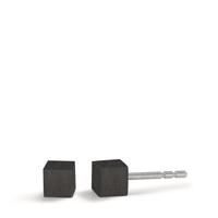 Clous d'oreilles Acier inoxydable, Carbone Ø4 mm-592571