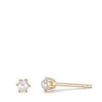 Clous d'oreilles Argent jaune Plaqué or perle d'eau douce blanc, 2 Perles Ø4 mm-593423
