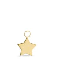 Charms Or jaune 18K Étoile Ø10 mm-595510