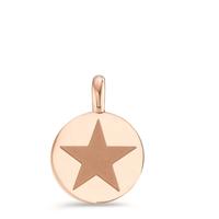 Pendentif Acier inoxydable rosé PVD Étoile Ø11 mm-595689