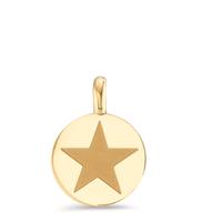 Pendentif Acier inoxydable jaune PVD Étoile Ø11 mm-595690