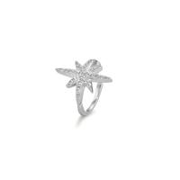 Ear cuff Argent Zircone Rhodié Étoile Ø11 mm-596844
