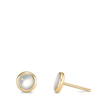 Clous d'oreilles Acier inoxydable jaune PVD nacre blanc Ø8 mm-596915