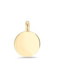 Pendentif Acier inoxydable jaune PVD Ø11 mm-597005