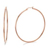 Créoles Acier inoxydable rosé PVD-597202