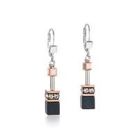 Pendant d'oreilles Acier inoxydable-597489