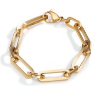 Bracelet Acier inoxydable jaune PVD 19.5 cm-598569