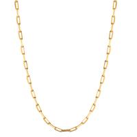 Collier Argent jaune Plaqué or 40-45 cm-599437