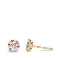 Clous d'oreilles Or jaune 9K Zircone 14 Pierres Ø5.5 mm-600334