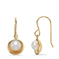 Pendant d'oreilles Argent jaune Plaqué or perle d'eau douce-600720