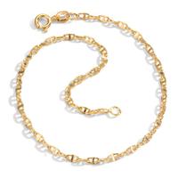 Chaînette de cheville Or jaune 14K 24 cm-601109
