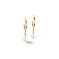 Pendant d'oreilles Acier inoxydable jaune PVD-601716