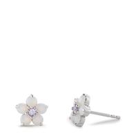 Ohrstecker Silber Zirkonia 12 Steine rhodiniert Blume Ø8.5 mm-603176