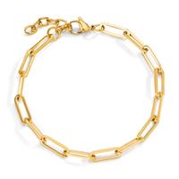 Bracelet Acier inoxydable jaune PVD 18.5-21.5 cm-604438
