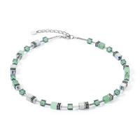 Collier Acier inoxydable 42-48 cm-604493