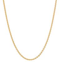 Chaînette Or jaune 14K 42 cm-604832