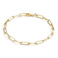 Bracelet Or jaune 14K 19 cm-604837
