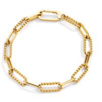 Bracelet Acier inoxydable jaune PVD 19.5 cm-606802