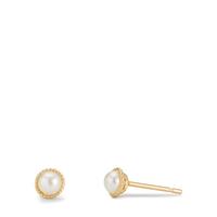 Clous d'oreilles Or jaune 9K perle d'eau douce Ø4 mm-607145