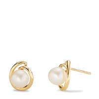 Clous d'oreilles Or jaune 14K perle d'eau douce, 2 Perles, 7.5 mm-607184