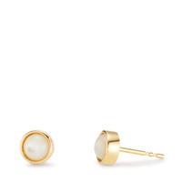 Clous d'oreilles Or jaune 9K nacre Ø6.5 mm-607403