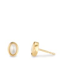 Clous d'oreilles Or jaune 9K nacre, 2 Perles-607406