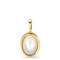Pendentif Or jaune 9K nacre-607407
