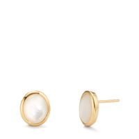 Clous d'oreilles Argent jaune Plaqué or nacre-607482