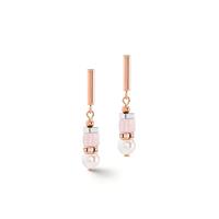Pendant d'oreilles Acier inoxydable rosé PVD-608593