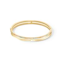 Bracelet rigide Acier inoxydable Zircone jaune PVD-608620