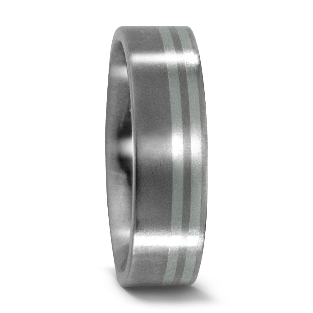Alliance Titane, Platine 950-529070