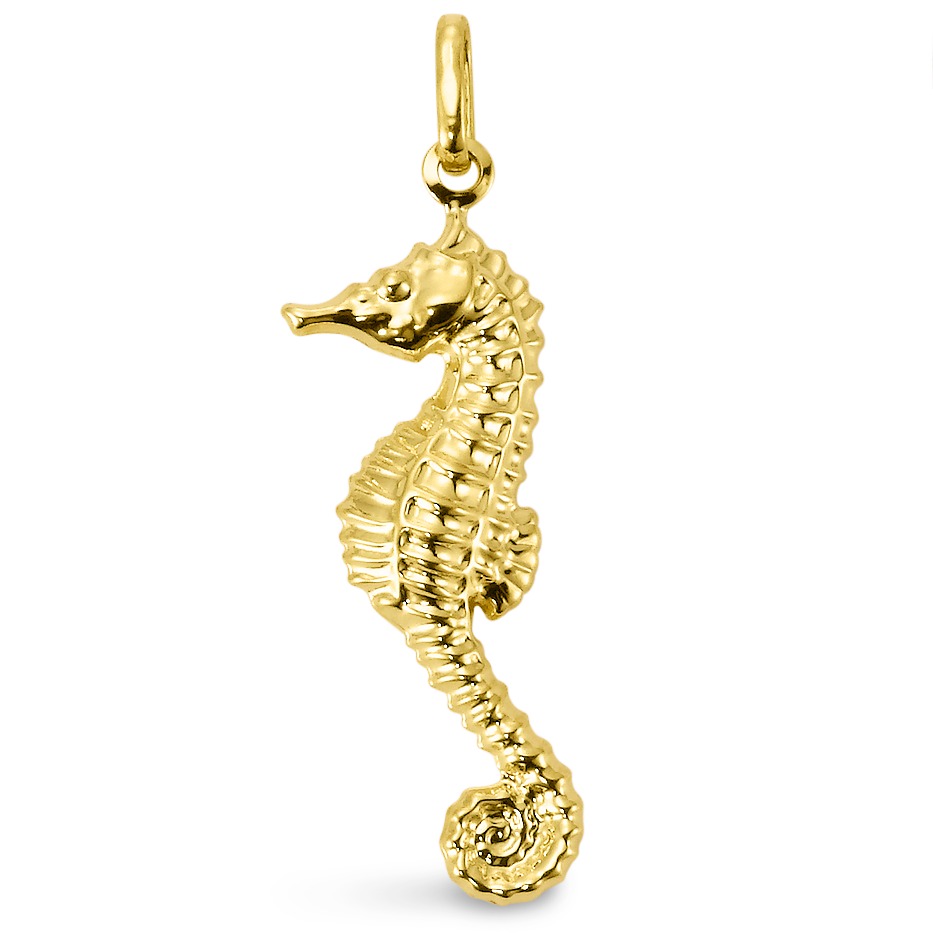 Pendentif Or jaune 9K-547607