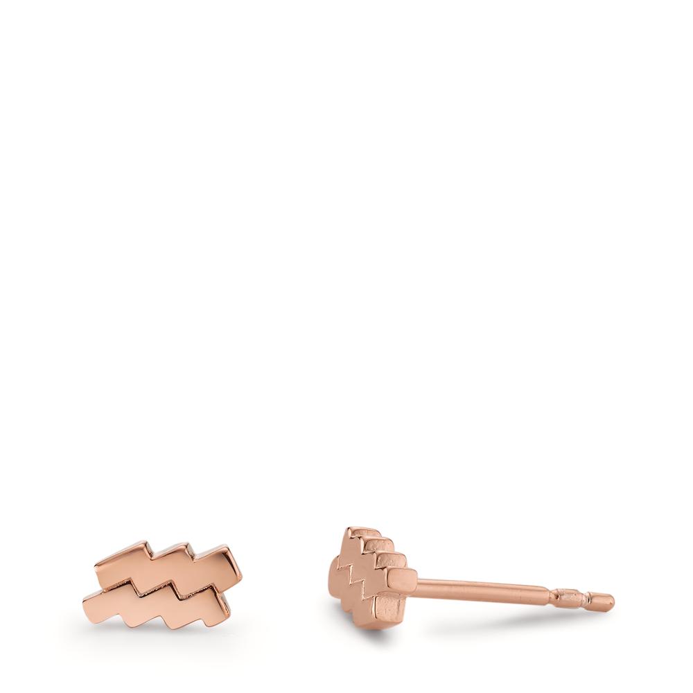 Clous d'oreilles Argent rosé Plaqué or-602811