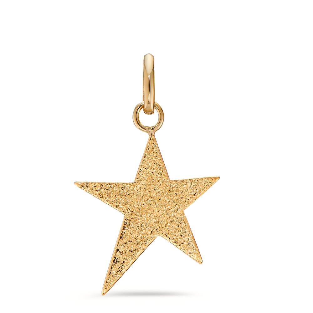 Pendentif Or jaune 9K Étoile Ø14 mm-604630